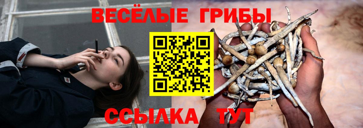 Псилоцибиновые грибы Psilocybine cubensis  Вход с VPN  Сухой Лог  Галлюциногенные грибы Magic Shrooms 